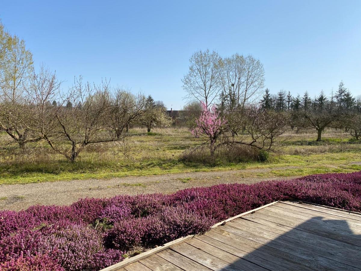 Le Gite De L'etoile Du Jour Neung-sur-Beuvron Buitenkant foto